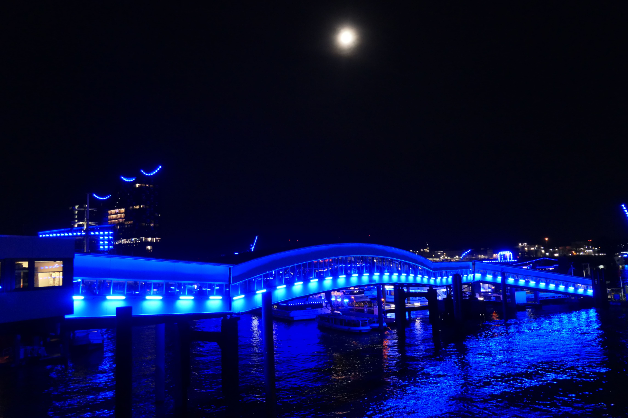 CruiseDays 24